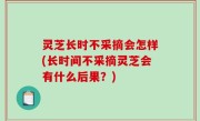 灵芝长时不采摘会怎样(长时间不采摘灵芝会有什么后果？)