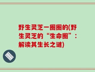 野生灵芝一圈圈的(野生灵芝的“生命圈”：解读其生长之谜)