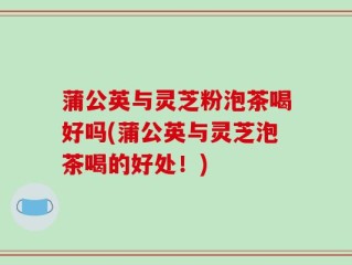 蒲公英与灵芝粉泡茶喝好吗(蒲公英与灵芝泡茶喝的好处！)