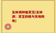 五林洞种植灵芝(五林洞：灵芝的根与天地同寿)