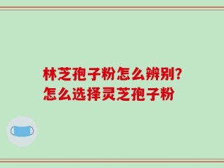 林芝孢子粉怎么辨别？怎么选择灵芝孢子粉