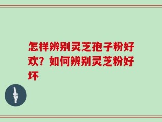 怎样辨别灵芝孢子粉好欢？如何辨别灵芝粉好坏