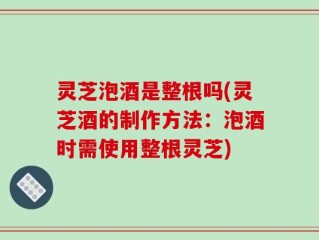灵芝泡酒是整根吗(灵芝酒的制作方法：泡酒时需使用整根灵芝)