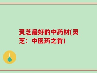 灵芝最好的中药材(灵芝：中医药之首)