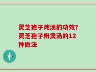 灵芝孢子炖汤的功效？灵芝孢子粉煲汤的12种做法
