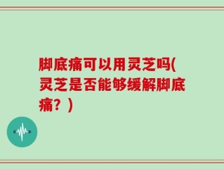 脚底痛可以用灵芝吗(灵芝是否能够缓解脚底痛？)