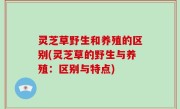 灵芝草野生和养殖的区别(灵芝草的野生与养殖：区别与特点)