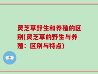灵芝草野生和养殖的区别(灵芝草的野生与养殖：区别与特点)