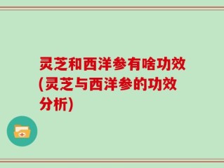 灵芝和西洋参有啥功效(灵芝与西洋参的功效分析)