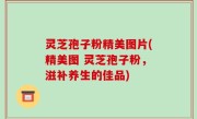 灵芝孢子粉精美图片(精美图 灵芝孢子粉，滋补养生的佳品)
