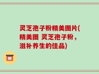 灵芝孢子粉精美图片(精美图 灵芝孢子粉，滋补养生的佳品)