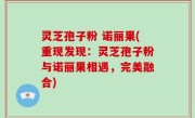 灵芝孢子粉 诺丽果(重现发现：灵芝孢子粉与诺丽果相遇，完美融合)