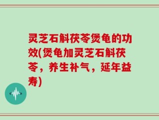 灵芝石斛茯苓煲龟的功效(煲龟加灵芝石斛茯苓，养生补气，延年益寿)