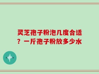 灵芝孢子粉泡几度合适？一斤孢子粉放多少水