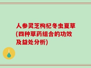 人参灵芝枸杞冬虫夏草(四种草药组合的功效及益处分析)