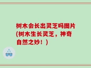 树木会长出灵芝吗图片(树木生长灵芝，神奇自然之妙！)