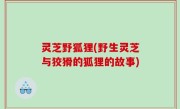 灵芝野狐狸(野生灵芝与狡猾的狐狸的故事)