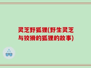 灵芝野狐狸(野生灵芝与狡猾的狐狸的故事)