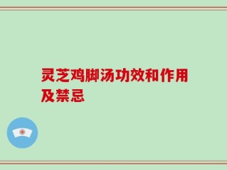 灵芝鸡脚汤功效和作用及禁忌