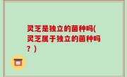 灵芝是独立的菌种吗(灵芝属于独立的菌种吗？)