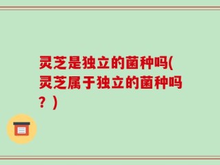 灵芝是独立的菌种吗(灵芝属于独立的菌种吗？)