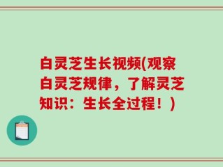 白灵芝生长视频(观察白灵芝规律，了解灵芝知识：生长全过程！)