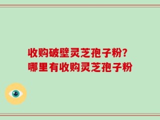 收购破壁灵芝孢子粉？哪里有收购灵芝孢子粉