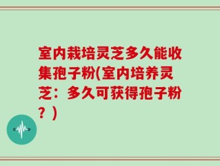 室内栽培灵芝多久能收集孢子粉(室内培养灵芝：多久可获得孢子粉？)
