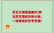 灵芝火锅摆盘图片(鲜活灵芝搭配热辣火锅，一道美味的冬季食谱)
