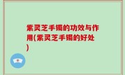 紫灵芝手镯的功效与作用(紫灵芝手镯的好处)