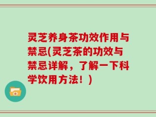 灵芝养身茶功效作用与禁忌(灵芝茶的功效与禁忌详解，了解一下科学饮用方法！)