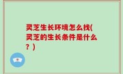 灵芝生长环境怎么找(灵芝的生长条件是什么？)