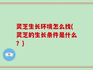 灵芝生长环境怎么找(灵芝的生长条件是什么？)