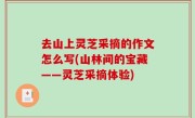 去山上灵芝采摘的作文怎么写(山林间的宝藏——灵芝采摘体验)