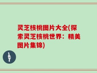 灵芝核桃图片大全(探索灵芝核桃世界：精美图片集锦)