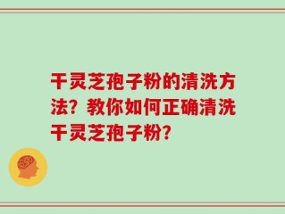 干灵芝孢子粉的清洗方法？教你如何正确清洗干灵芝孢子粉？
