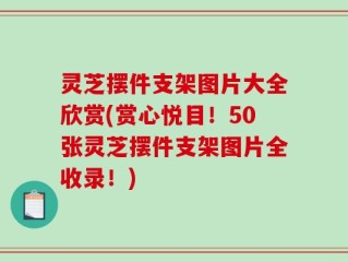 灵芝摆件支架图片大全欣赏(赏心悦目！50张灵芝摆件支架图片全收录！)