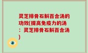 灵芝排骨石斛百合汤的功效(提高免疫力的汤：灵芝排骨石斛百合汤)