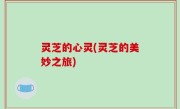 灵芝的心灵(灵芝的美妙之旅)