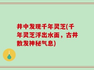 井中发现千年灵芝(千年灵芝浮出水面，古井散发神秘气息)
