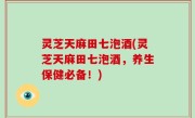 灵芝天麻田七泡酒(灵芝天麻田七泡酒，养生保健必备！)
