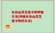 长白山灵芝孢子粉种植方法(种植长白山灵芝孢子粉的方法)