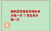 杨的灵芝现在市场价多少钱一斤 ？灵芝多少钱一斤