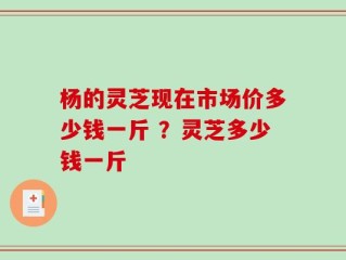 杨的灵芝现在市场价多少钱一斤 ？灵芝多少钱一斤