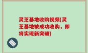 灵芝基地收购视频(灵芝基地被成功收购，即将实现新突破)