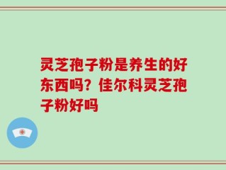 灵芝孢子粉是养生的好东西吗？佳尔科灵芝孢子粉好吗