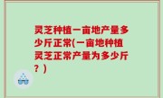 灵芝种植一亩地产量多少斤正常(一亩地种植灵芝正常产量为多少斤？)