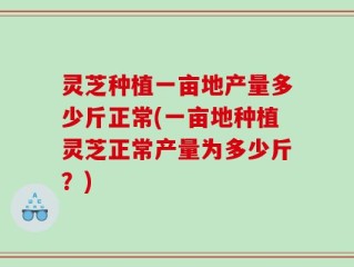 灵芝种植一亩地产量多少斤正常(一亩地种植灵芝正常产量为多少斤？)
