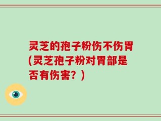 灵芝的孢子粉伤不伤胃(灵芝孢子粉对胃部是否有伤害？)