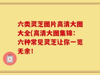 六类灵芝图片高清大图大全(高清大图集锦：六种常见灵芝让你一览无余！